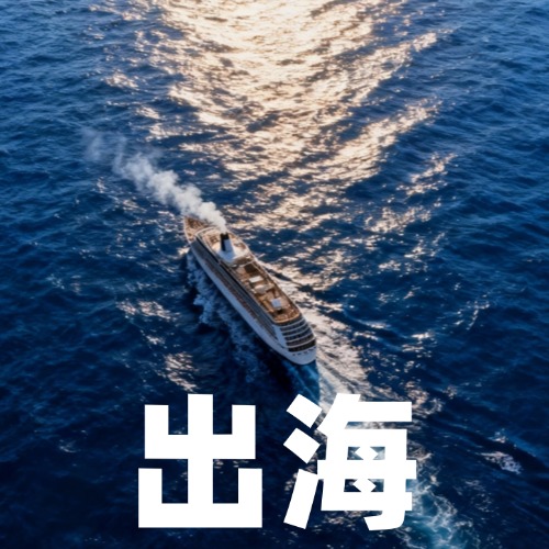 【对游出海・海外商务考察】